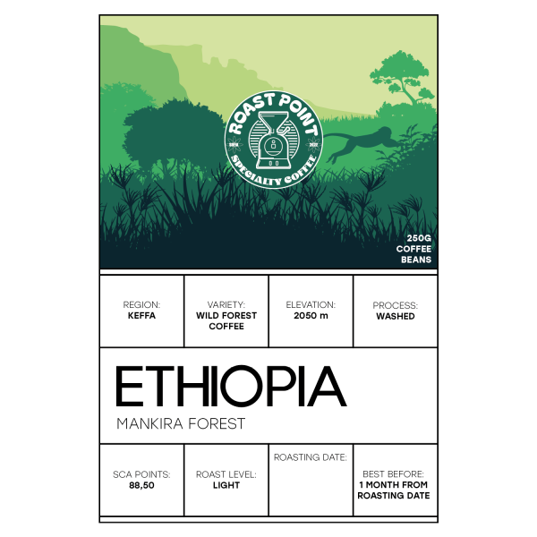 ETHIOPIA MANKIRA FOREST - Image 2
