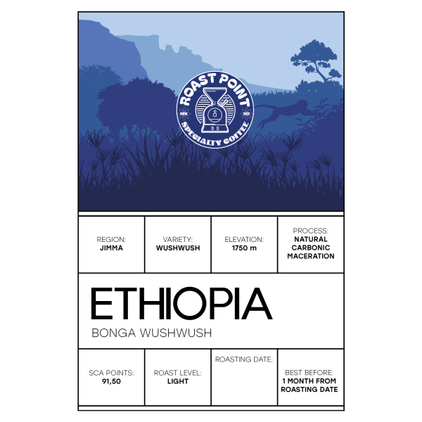 ETHIOPIA BONGA WUSHWUSH CM2 - Image 2