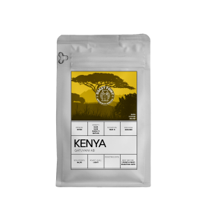 KENYA GATUYAINI AB